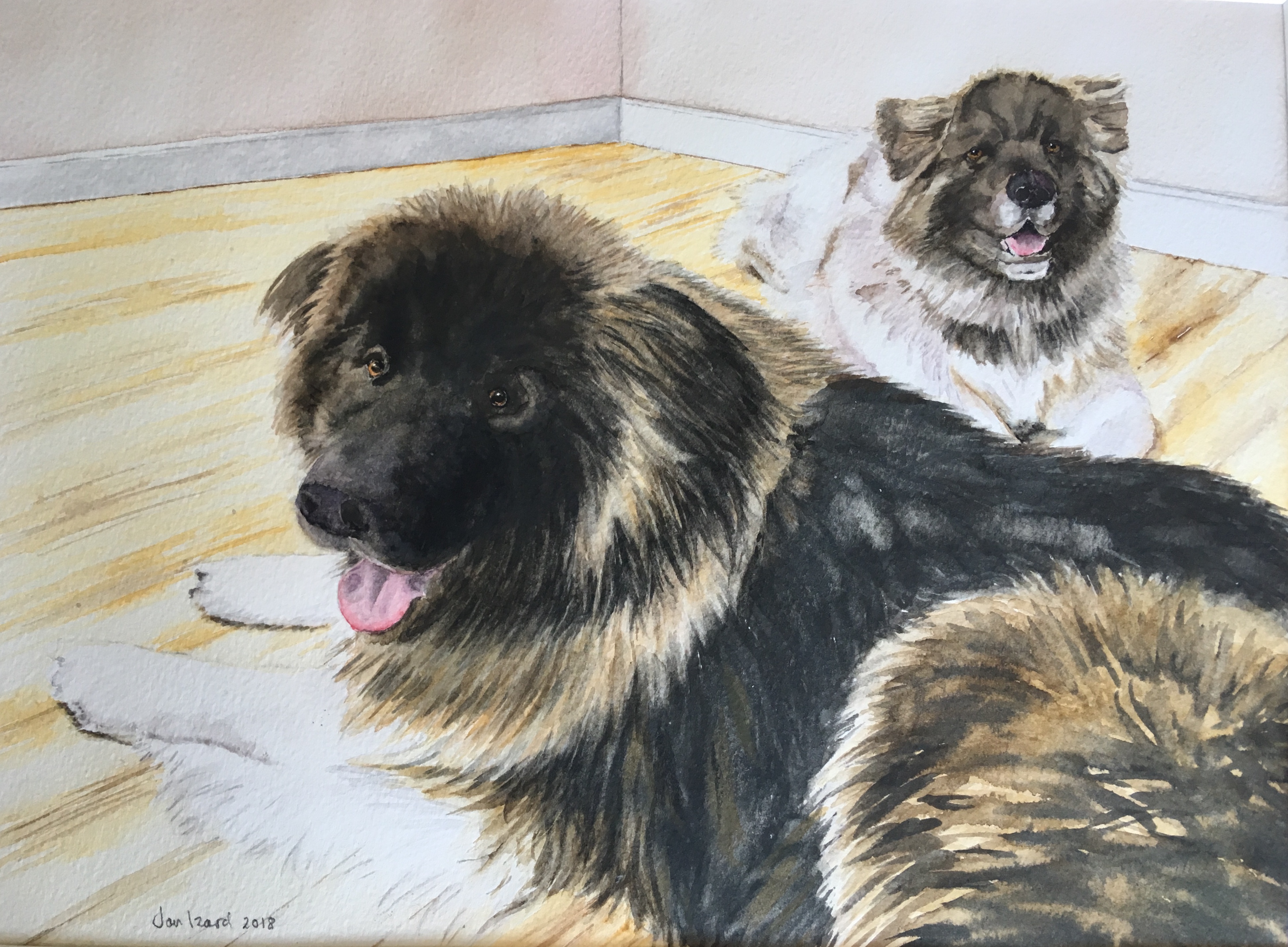 Diesel & Callie - Akita dogs