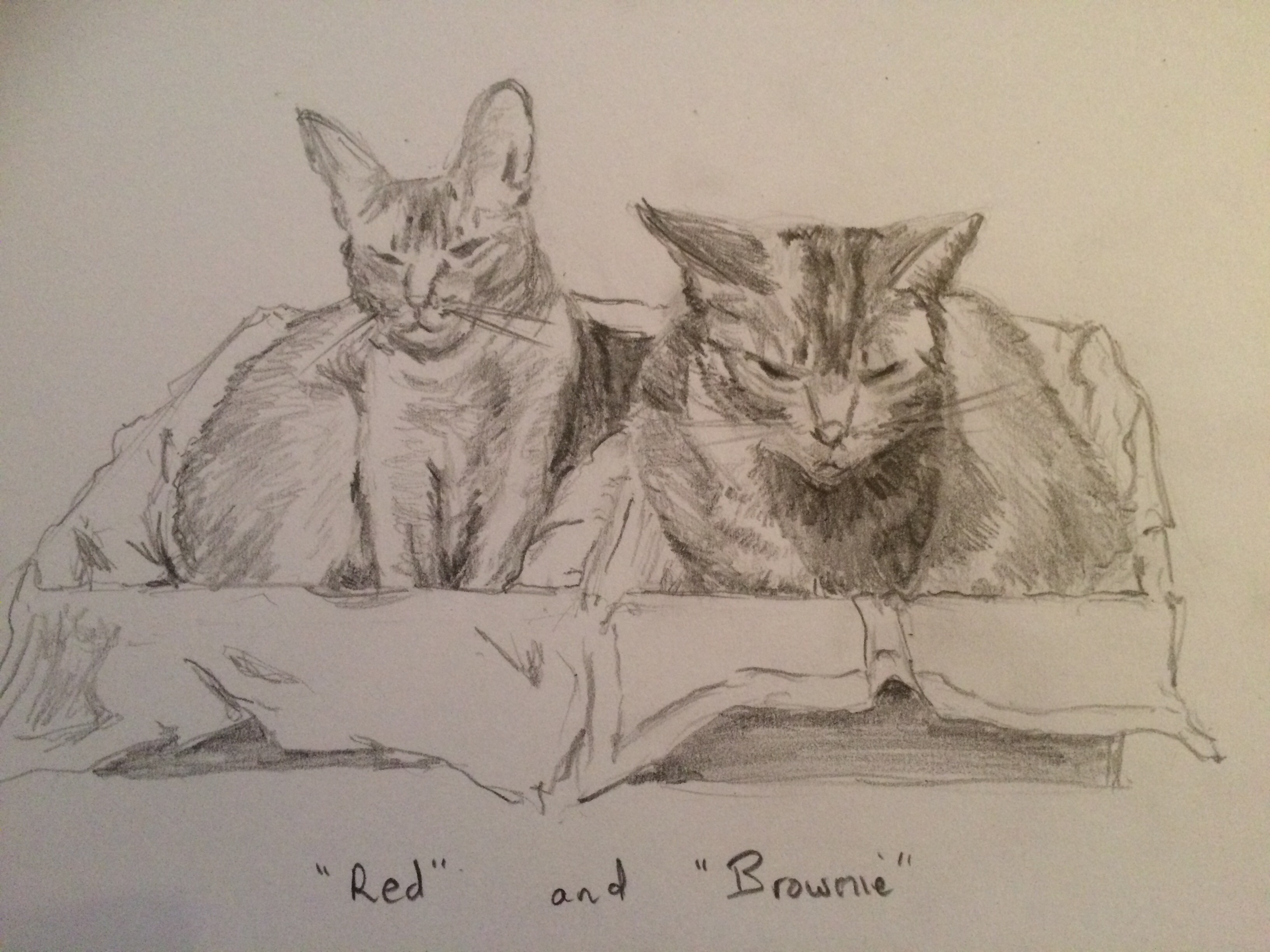 Red & Brownie
