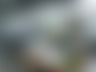 La Revolución Circular: El Imperativo de Transformación Estratégica para la Alta Dirección