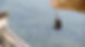 Soothing Bell