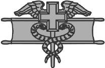EXPERT FIELD MEDICAL BADGE