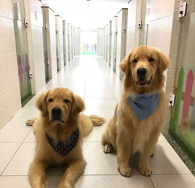 Cópia_de_77c69394-8898-454e-b3e5-ad80da