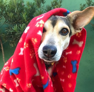 AnyConv.com__Cópia de IMG_5384.jpeg