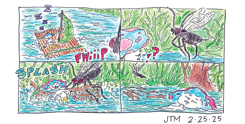 ComicADay_Book_2-25-2025.png