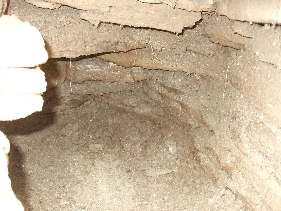 Corbelled side chamber to the tomb at Swandro?