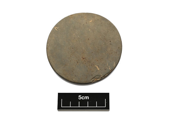 Swandro disc side 2 2024.jpg