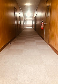 IMG_1358.jpeg