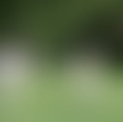 Cricketing Chaplain, 1756?