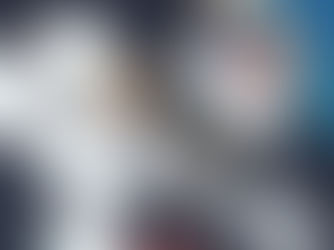 SayNet Web Design & Development 