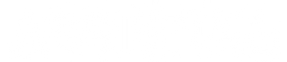 AssistIng_Logo.png