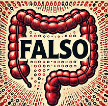 fakso.jpeg