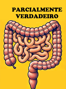 MEDIO .png