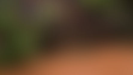 A região da Costa Doce, no Rio Grande do Sul, tem enfrentado desafios crescentes com o regime de chuvas, exigindo respostas rápidas e estruturais do poder público.