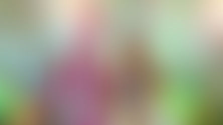 A cidade de São Lourenço do Sul, conhecida por realizar o "Carnaval Mais Quente da Costa Doce", já tem seus representantes oficiais para a folia de 2026. Em um evento repleto de energia no palco do Festival de Verão, na noite do último sábado (24), 