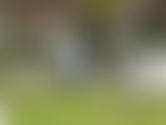 Um dos focos principais da operação foi a Praça Zeca Netto, coração do centro da cidade.