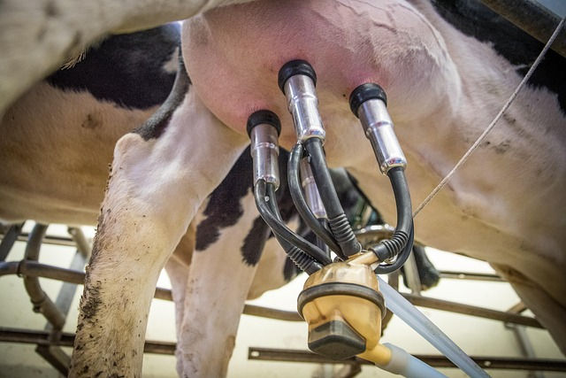 O Rio Grande do Sul, quarto maior produtor nacional de leite, com bacias consolidadas na Serra Gaúcha, Alto Uruguai e Fronteira Noroeste, pode se beneficiar diretamente da ferramenta. 