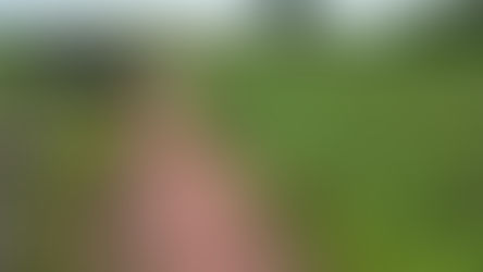 A Prefeitura de Camaquã intensificou os investimentos em infraestrutura rural para atender às demandas de escoamento da produção e mobilidade dos moradores da Costa Doce.