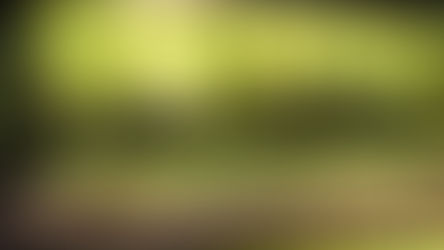 O evento, denominado "Manifesto pela Valorização do Tabaco", está programado para ocorrer nesta sexta-feira, dia 15 de maio. 