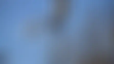 A segurança pública de Camaquã ganhou destaque na agenda nacional nesta terça-feira, 4 de março. 