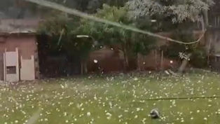 Um temporal de granizo provocou estragos generalizados em Erechim, no Alto Uruguai, na tarde de domingo (23).