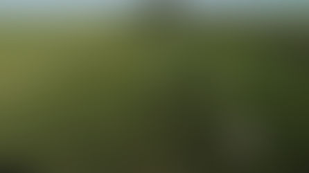 O treinamento reuniu cerca de 30 extensionistas da Emater/RS-Ascar de 18 municípios da região, fortalecendo a parceria entre pesquisa agropecuária e assistência técnica no campo.