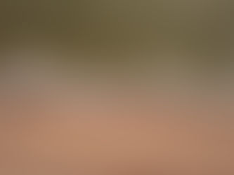 O governo do Estado, através da Fundação Estadual de Proteção Ambiental (Fepam), publicou nesta sexta-feira (6) o nono boletim do projeto Balneabilidade para a temporada 2025/2026. 