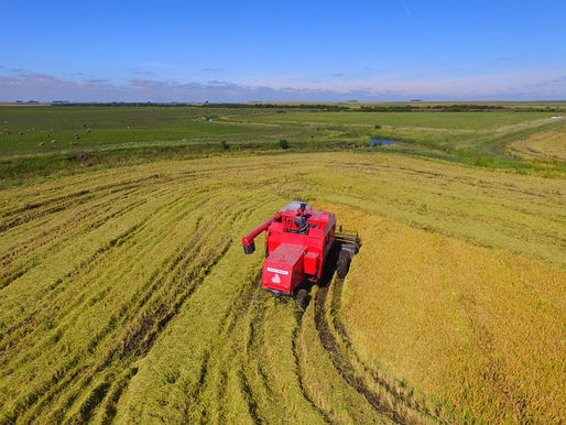 A principal razão para essa retração é o elevado custo de produção, que tem pressionado as margens de lucro no campo.