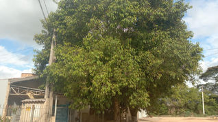 A precariedade na manutenção da rede elétrica tem gerado transtornos e prejuízos financeiros para moradores de Camaquã, na Zona Sul do Rio Grande do Sul. 