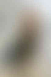 Tendencias de otoño