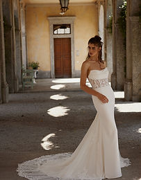 Ilia Justin Alexander