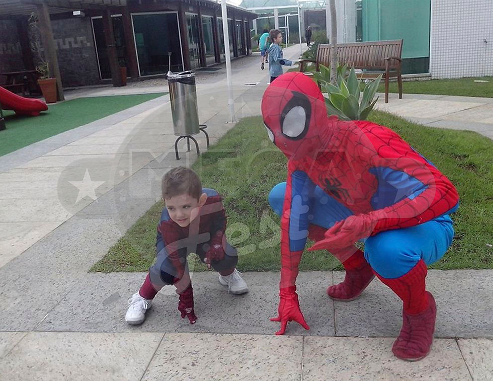 Homem Aranha F3 - Fotos 1