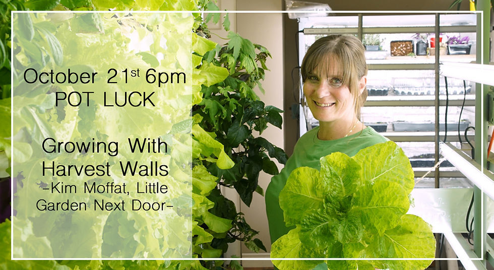 BGC - Potluck & Growing Wiht Harvest Walls