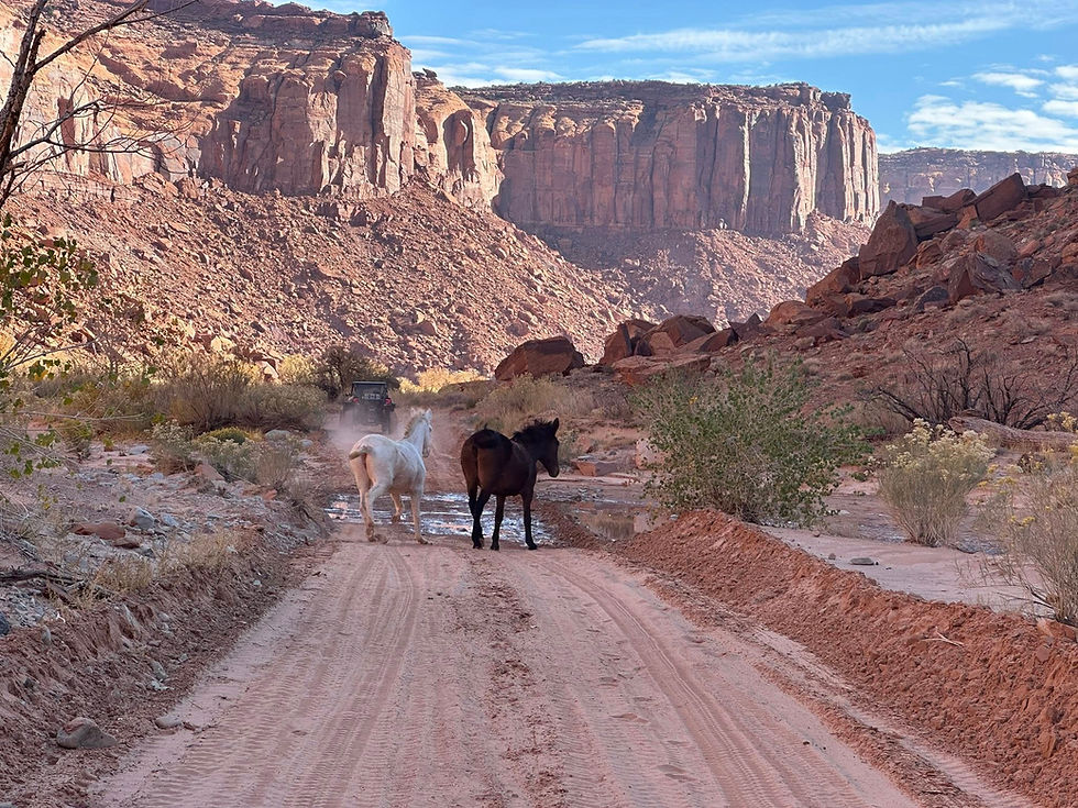 584319320_1891228208458790_4381858936827570491_n