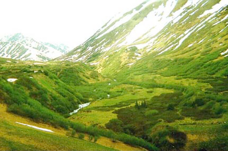 Screenshot 2026-01-22 at 12.41.29 PM.png