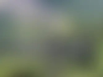 The Power of the Walk and Talk