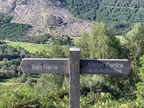 The Power of the Walk and Talk