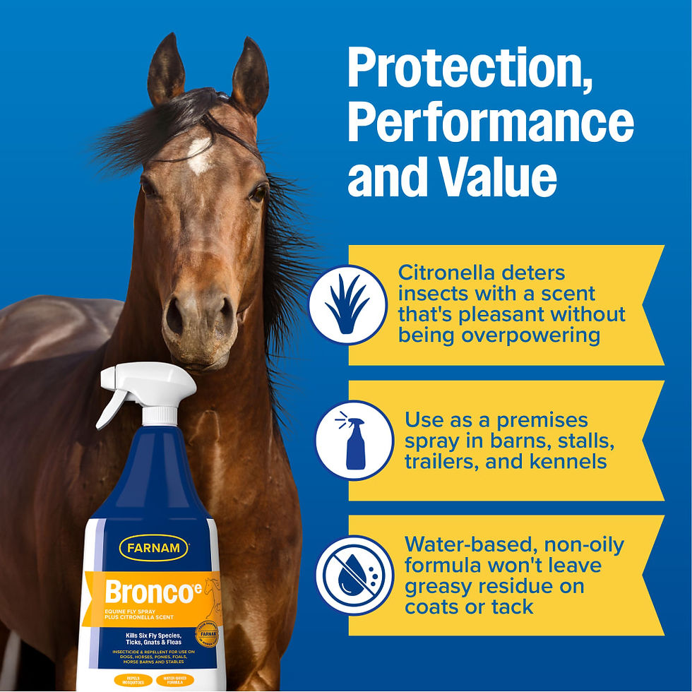 Thumbnail: Farnam Bronco e Equine Fly Spray Plus Citronella Scent, 1 qt.