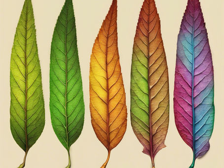 Handling Change – Transition Periods