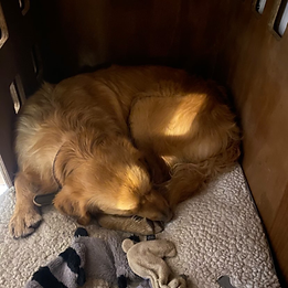 Posts épinglés-3.png