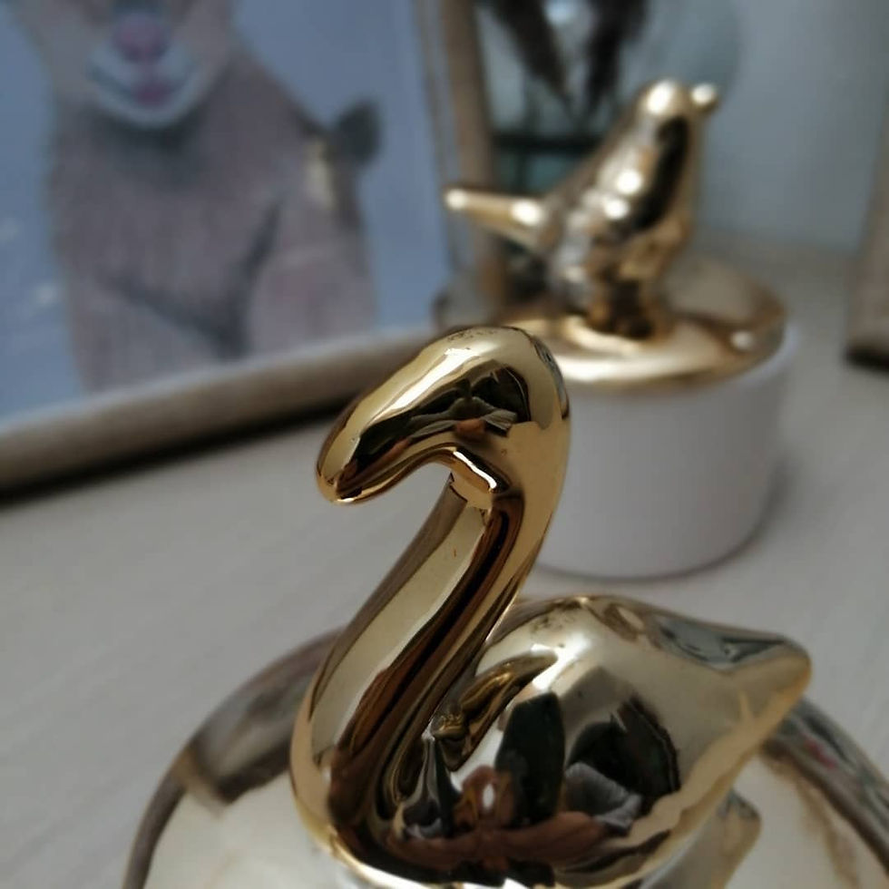 Miniatura: Joyeros Bird