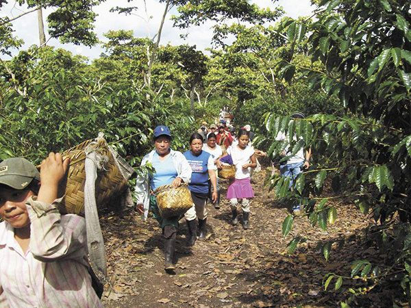 Trabajadores