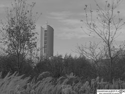IMG_4569+(Kopiowanie).JPG