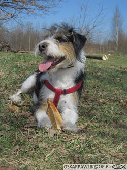 IMG_1353.JPG
