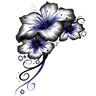 fleurs bora bora