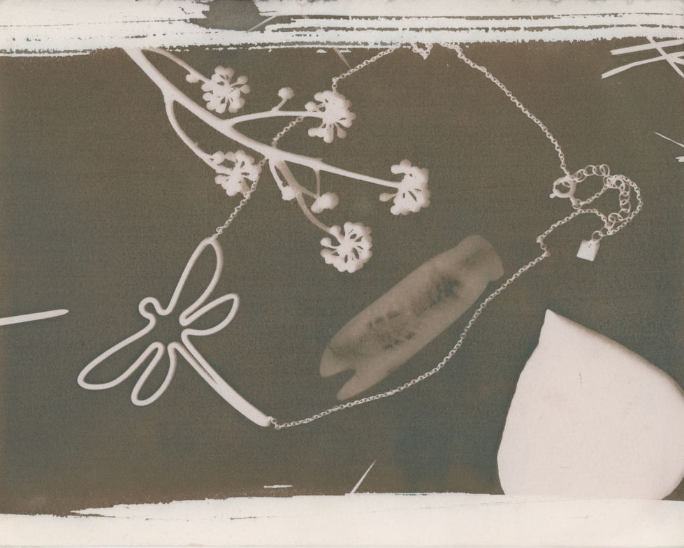 Simpson_Cyanotype4Bleach+Tone_OriginalScan