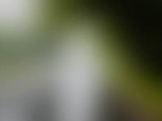 April Showers & Potholes: What Your Insurance Really Covers