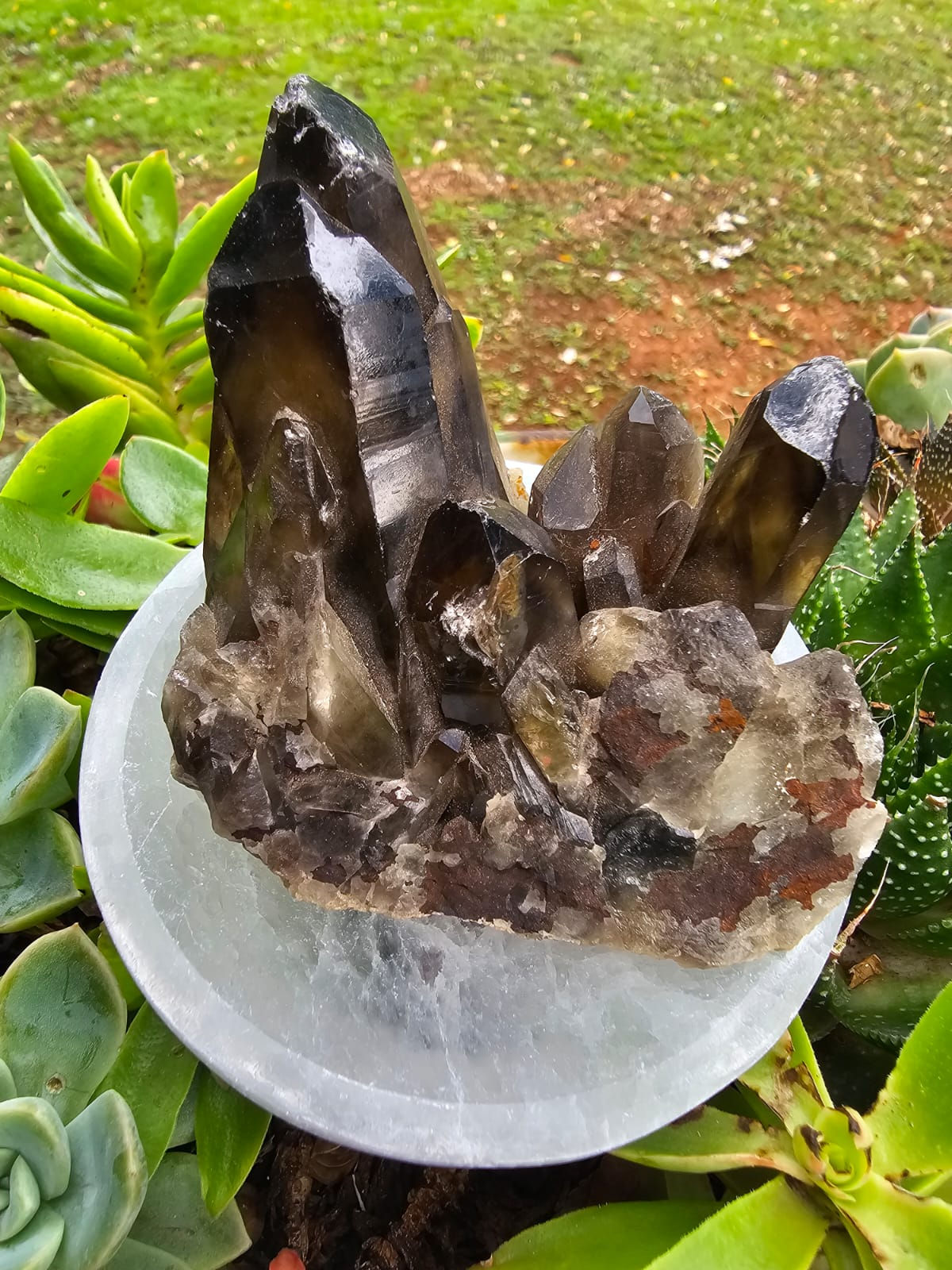 Smoky Quartz Cluster