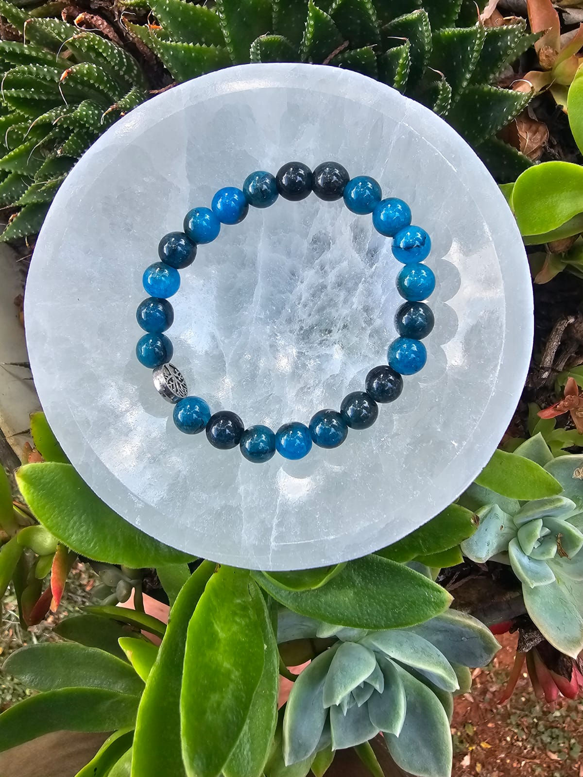 Apatite Bracelet – 8mm Beads