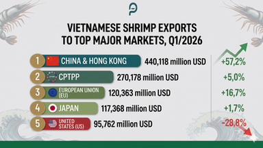 Chart of Vietnam shrimp exports to major markets Q1 2026.