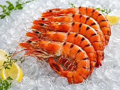Frozen Cooked Black Tiger Shrimp HOSO from Vietnam